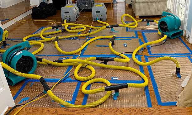 Professional Flood Damage Restoration technician working in Goodyear, AZ